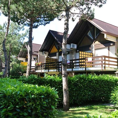 Villa Riviera 56リニャーノ・サッビアドーロ エクステリア 写真